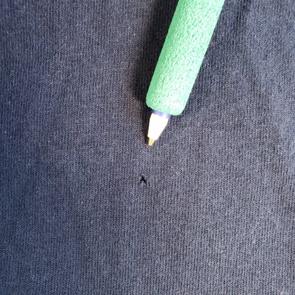 AAA Alstyle Apparel Activewear Mens T Shirt Size XLarge Blue Newport Beach Ca - Picture 9 of 10